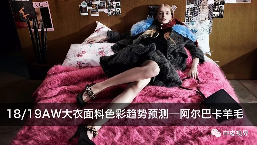 18/19ç§‹å†¬å¤§è¡£é¢æ–™è‰²å½©è¶‹åŠ¿é¢„æµ‹--é˜¿å°”å·´å¡ç¾Šæ¯›(å›¾1)