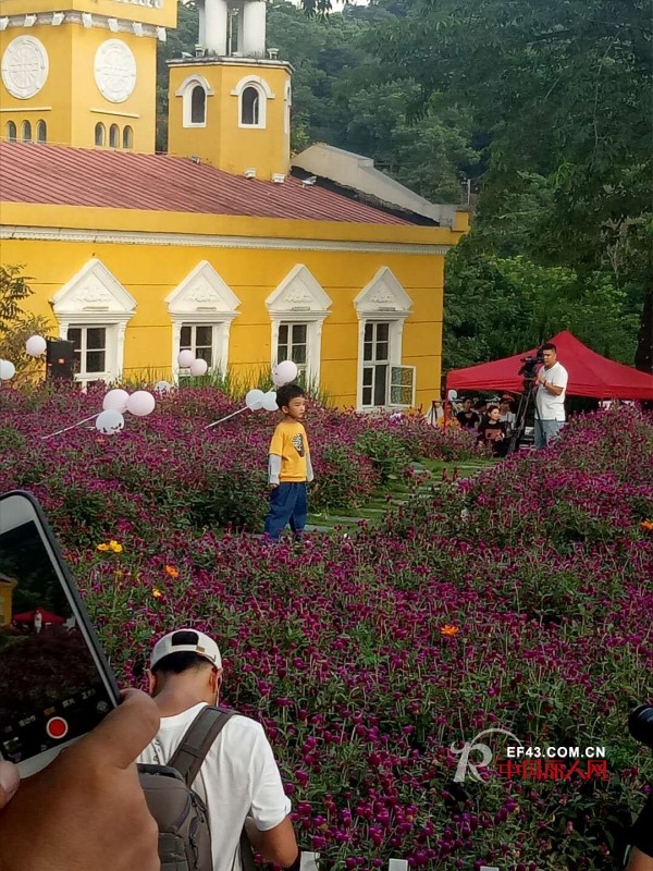 å¸ƒå²›å°ä¼Š2019æ˜¥å¤å‘å¸ƒä¼šä¸œèŽžç«™åœ†æ»¡ç»“æŸ ä¸‹ä¸€ç«™æ¹–åŒ—ç«™9æœˆ26æ—¥éš†é‡å¼€å¯