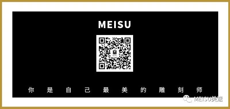 å¹¿ä¸œç¾Žé€Ÿæ¹–å—çœåˆ†å…¬å¸åˆä¼ æ·æŠ¥