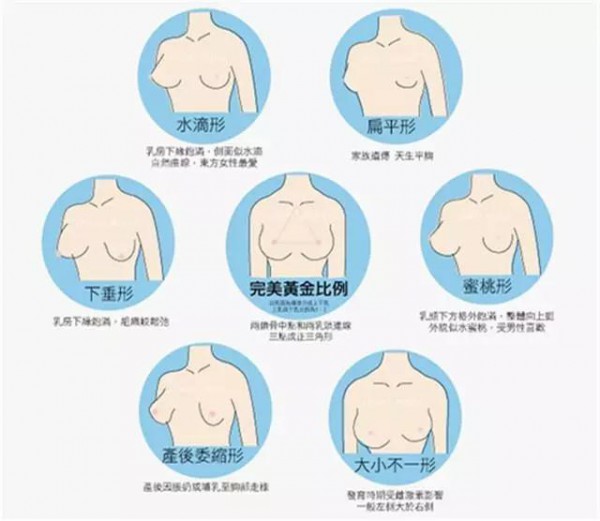 ç½‘è´­å†…è¡£å‰ å…ˆå¼„æ¸…æ¥šç½©æ¯å’Œèƒ¸åž‹