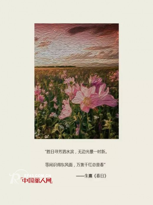ç»å…¸æ•…äº‹-JANESTORY