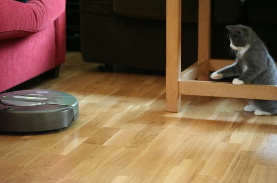 Do you really need a robotic vacuum cleaner?