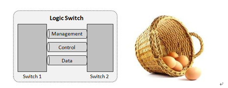 Data Center Switch Horizontal Virtualization Cluster