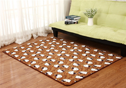 living room floor mat