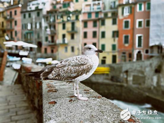 OPPO R15 launches Sony IMX519 sensor Travel photo best choice