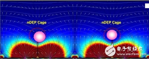 Analysis of System Design Scheme for Detection of Separated Rare Cells Based on LabVIEW