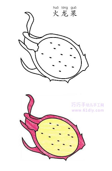 Dragon fruit stick figure and coloring (fruit)