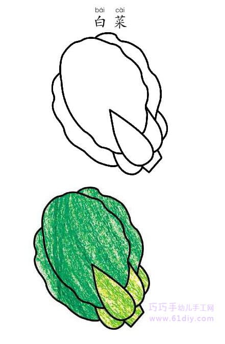 Cabbage stick figure and coloring (vegetables)