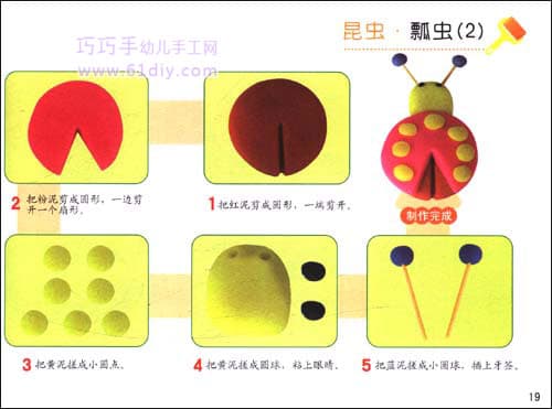 Insect color mud - ladybug