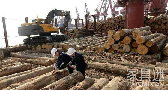 Timber importer inspection