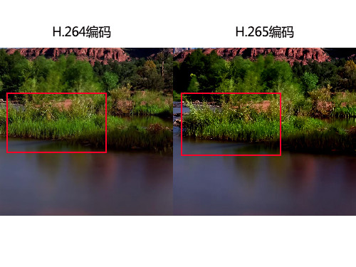 4K movies can be loaded into DVD to analyze new H.265 encoding technology