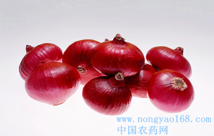 Onion pest control