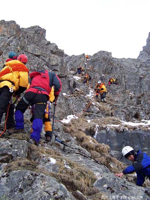 Bird 2004 Spring Not Peaks Ao Taimei Mountaineering Photo Exhibition (7)