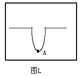 dldcd.gif (718 bytes)