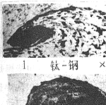 15g.gif (11951 bytes)