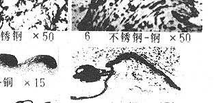 15d.gif (16652 bytes)