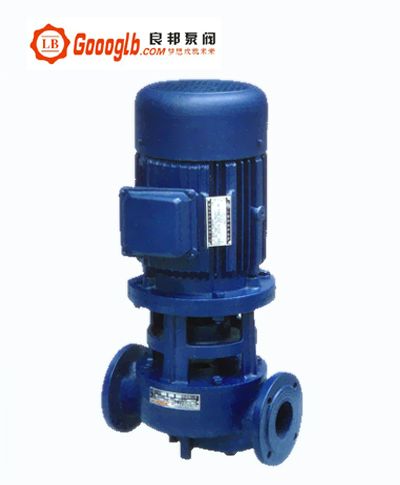 SGR vertical hot water pipeline pump