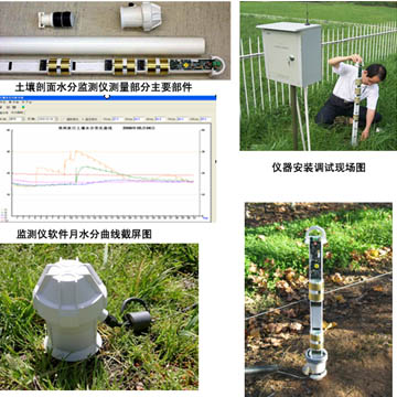 Soil profile moisture meter