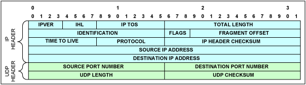 Figure 4. UDP / IPv4 header