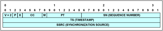 Figure 11. RTP header