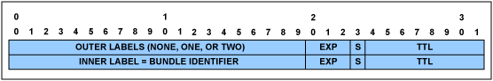 Figure 6. MPLS header