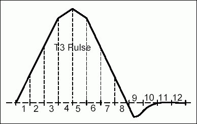 Figure 10. Typical T3 pulse divided into 12 segments