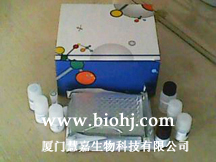 Instruction Manual of Mouse Casein ELISA Kit