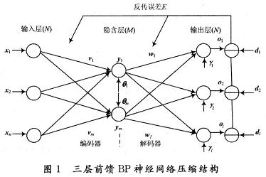 Three-layer BP neural network structure