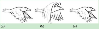 Figure 11: The adaptive 3D comb filter relies on the decoder to correctly detect image movement. This is the normal sequence of birds dancing their wings-downward (a), upward (b), and downward (c).
