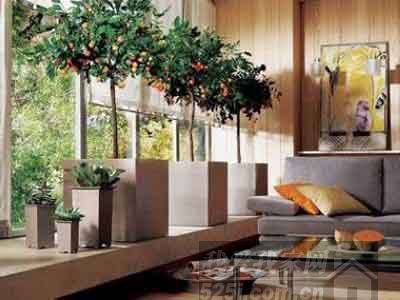 Breaking the six taboos of feng shui to make the living room safe and comfortable