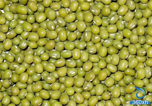 Beauty food - mung bean