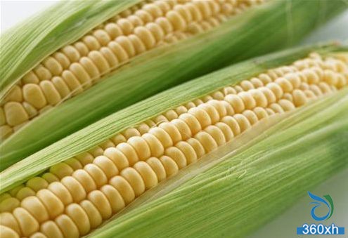 corn