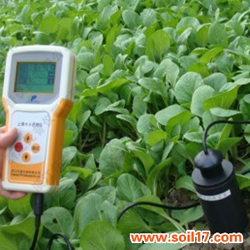 Soil moisture temperature tester