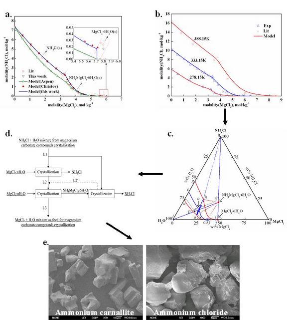 Progress in the Clean Utilization of Salt Lake Brine Magnesium Resources at the Institute of Process Engineering, Chinese Academy of Sciences