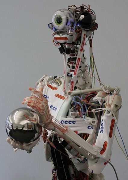 The University of Zurich in Switzerland developed the world's first musculoskeletal robot