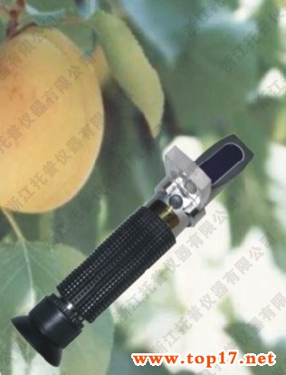 Fruit sugar meter