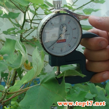 Leaf thickness gauge