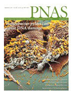 PNAS: "Onlookers generate stress" has brain physiological basis