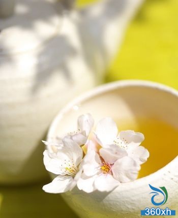 Sweet and healthy teach you DIY honey citron tea