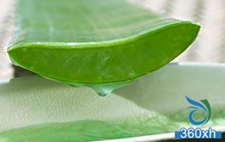 Moisturizing muscles and secrets, aloe vera acne mask