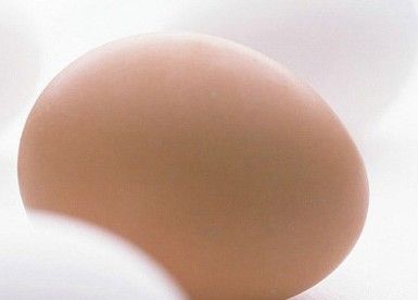 egg