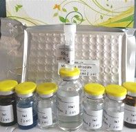 Instructions for use of ELISA kit for Verticillium dahliae