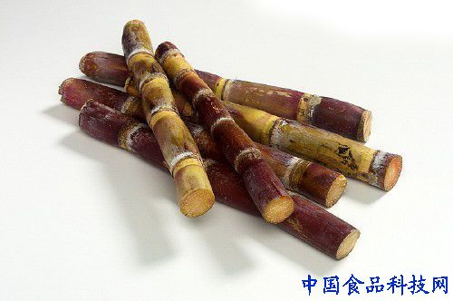 sugar cane