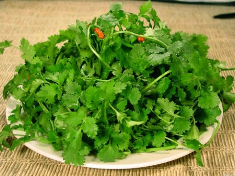 parsley