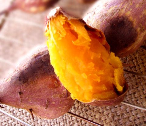 sweet potato