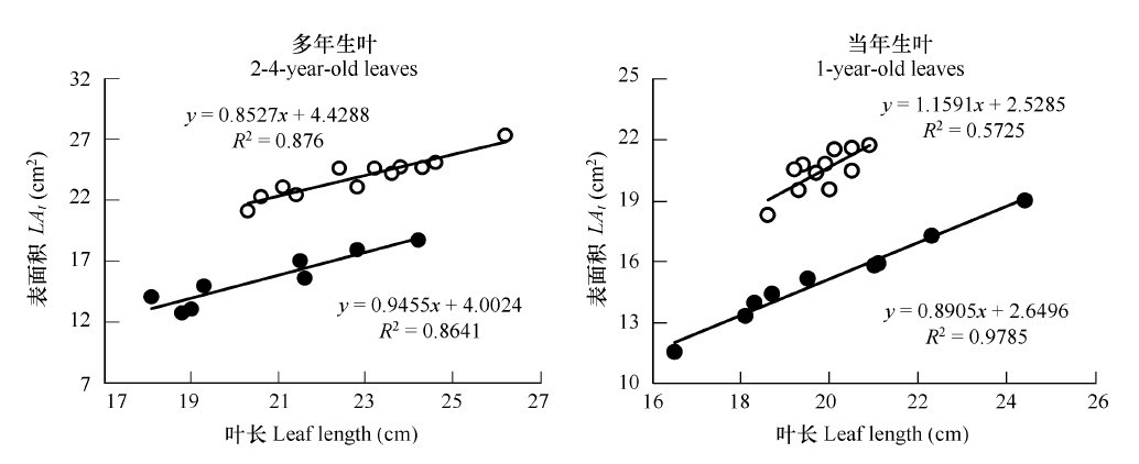 Figure 2 Relationship between leaf length and leaf area