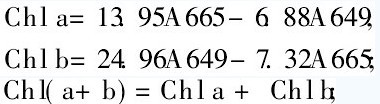 Chlorophyll concentration calculation method