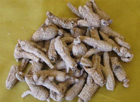 American Ginseng