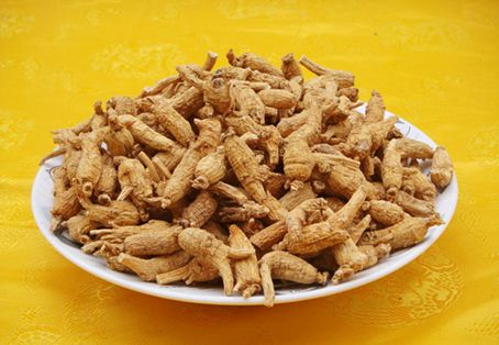 American Ginseng