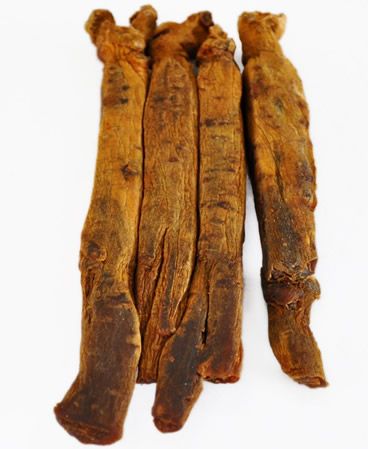 Ginseng